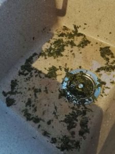 Used leaves in the sink