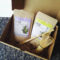 Matcha-&-Sencha-with-Whisk-and-Scoop-Gift-Box