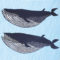 104cm Furoshiki Kata Kata Musubi whale 3