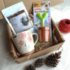 Japanese-Loose-Leaf-Tea-Starter-Gift-Box