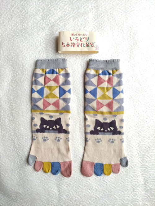 Japanese-socks-with-5-toes-Cat