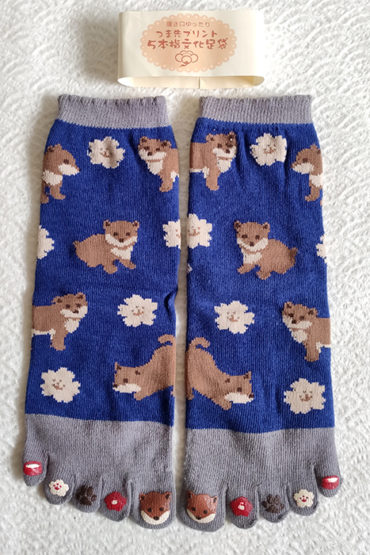 5-Toes-socks-with-toes-print-Uchino-Inu