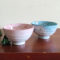 Japanese-rice-bowl-Sakura