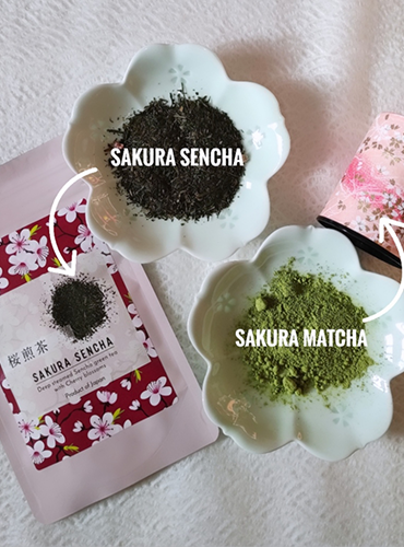 Sakura sencha and Sakura matcha bundles