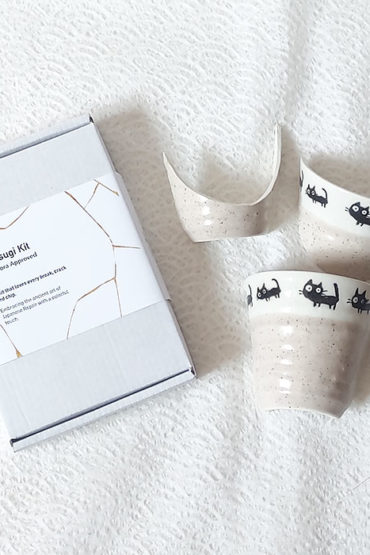 Kintsugi kit with a broken cup