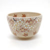Kiyomizu-ware Handmade Matcha bowl | Unkin