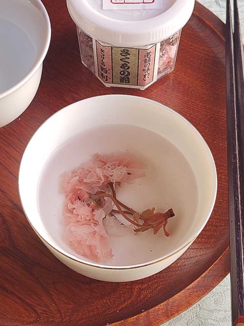 Sakura tea Sakuracha j-okini Malta