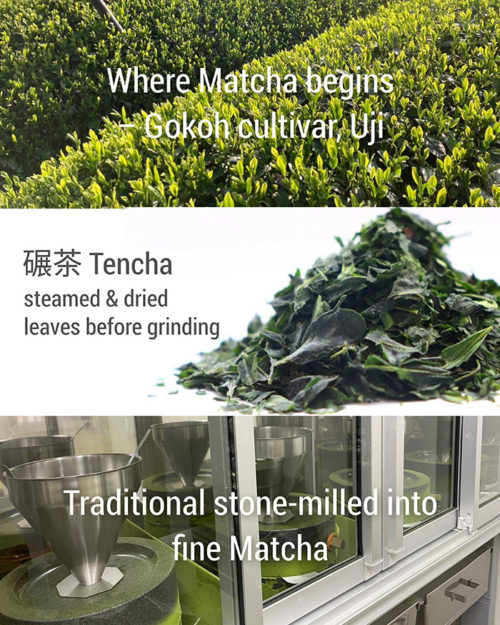 Stone-ground Matcha powder from Ujitawara, Kyoto, pesticide-free, ceremonial grade. Available at j-okini.com in Malta