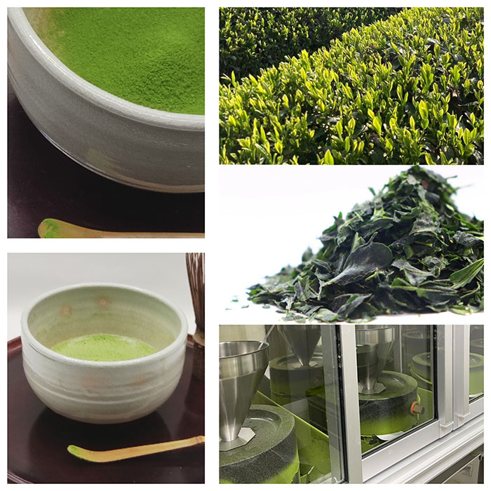 Discover Gokoh (Gokou) Matcha from Uji Ceremonial grade Matcha, Pesticide-free,