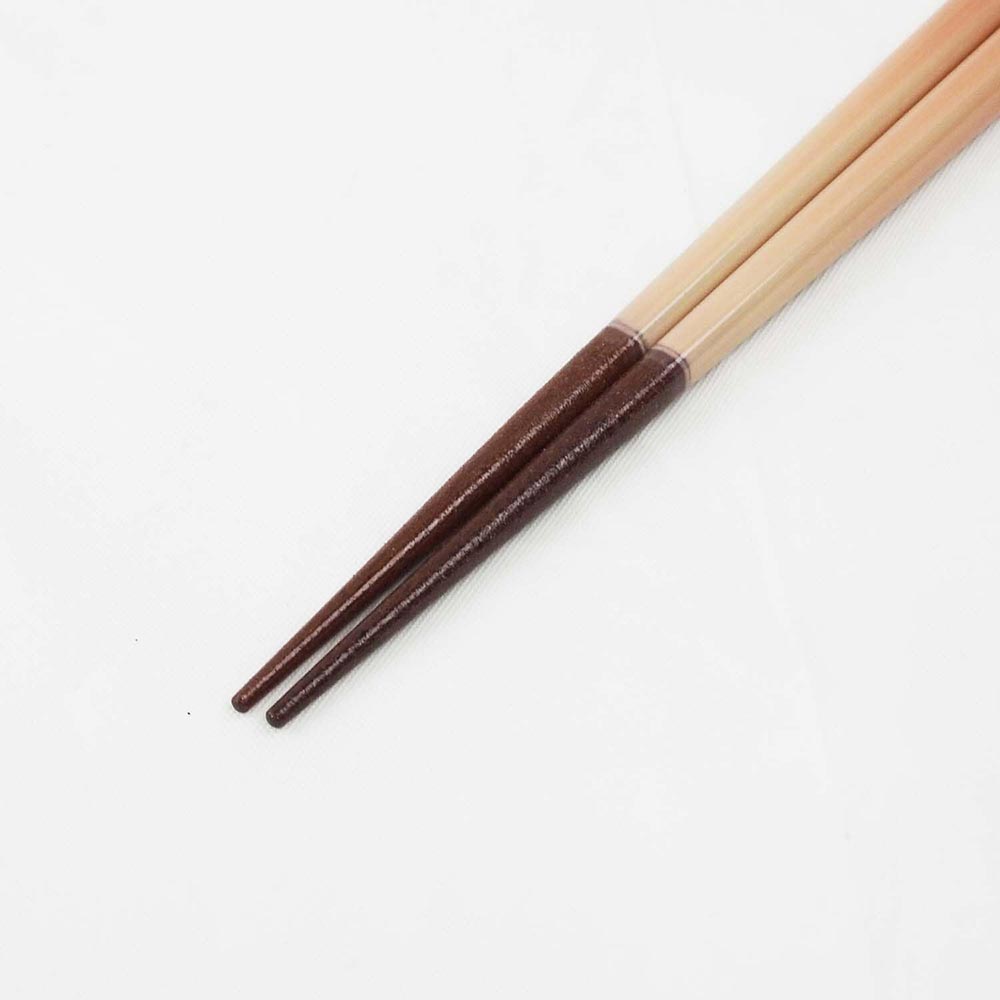 Japanese Fujimi Sakura Chopsticks Gift Set with Mt. Fuji Rests | Made in Japan